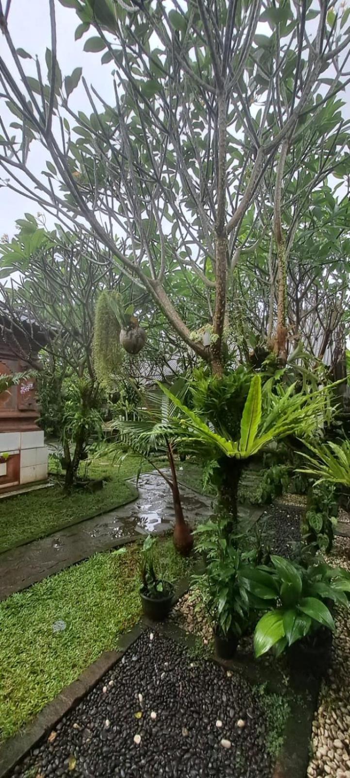 Serongga Guest House Lebih Экстерьер фото